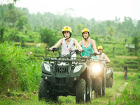 bali pertiwi atv