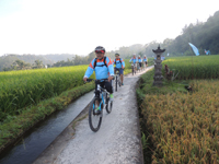 cycling di ubud
